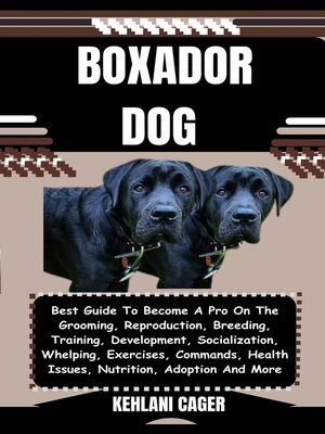 cover image of BOXADOR DOG